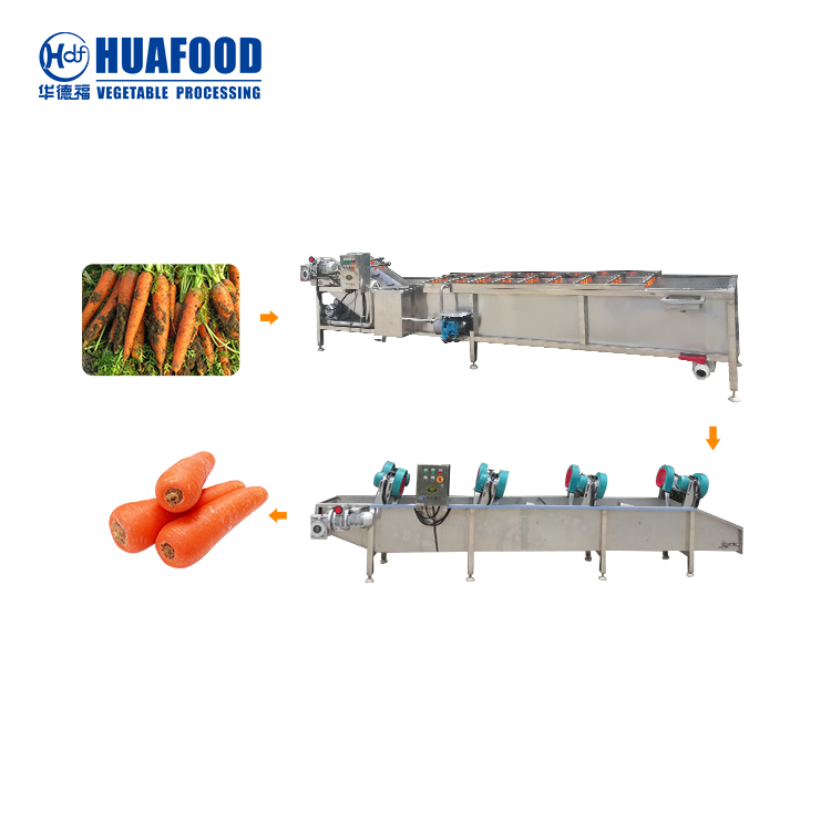 Garlic Processing Machines / Garlic Peeling Machine Production Line -  Huafood machine - Vegetable & Fruit Cleaning Machine，Potato Chips  Production Line