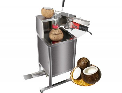 FC-582 Electric Fruit Slicing Machine Coconut Slicer Machine Made