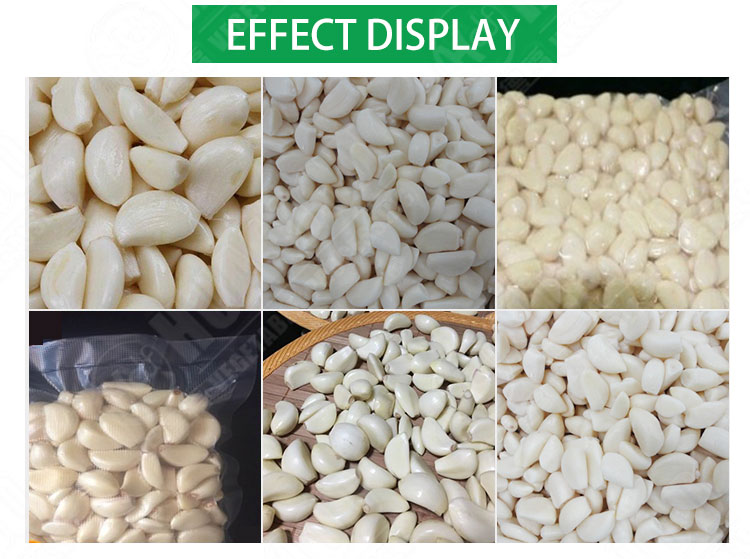 Garlic Processing Machines / Garlic Peeling Machine Production Line -  Huafood machine - Vegetable & Fruit Cleaning Machine，Potato Chips  Production Line