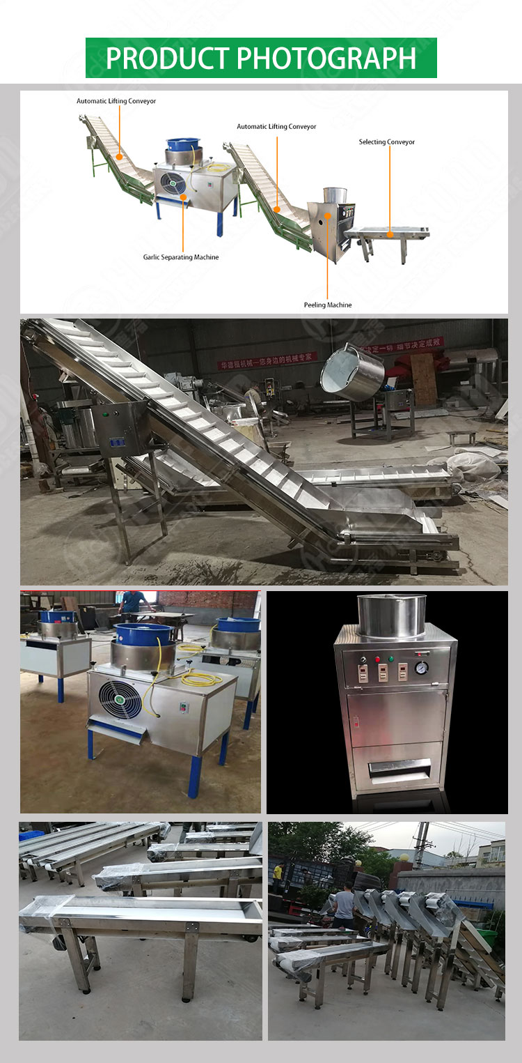 Garlic Processing Machines / Garlic Peeling Machine Production Line -  Huafood machine - Vegetable & Fruit Cleaning Machine，Potato Chips  Production Line