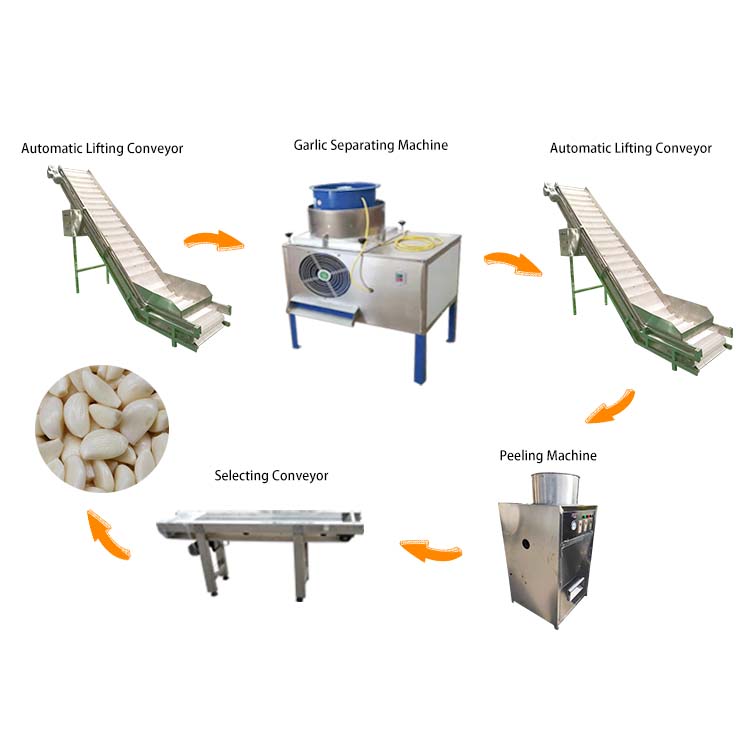 Industrial Garlic Peeling Machine Production Line Fully Automatic