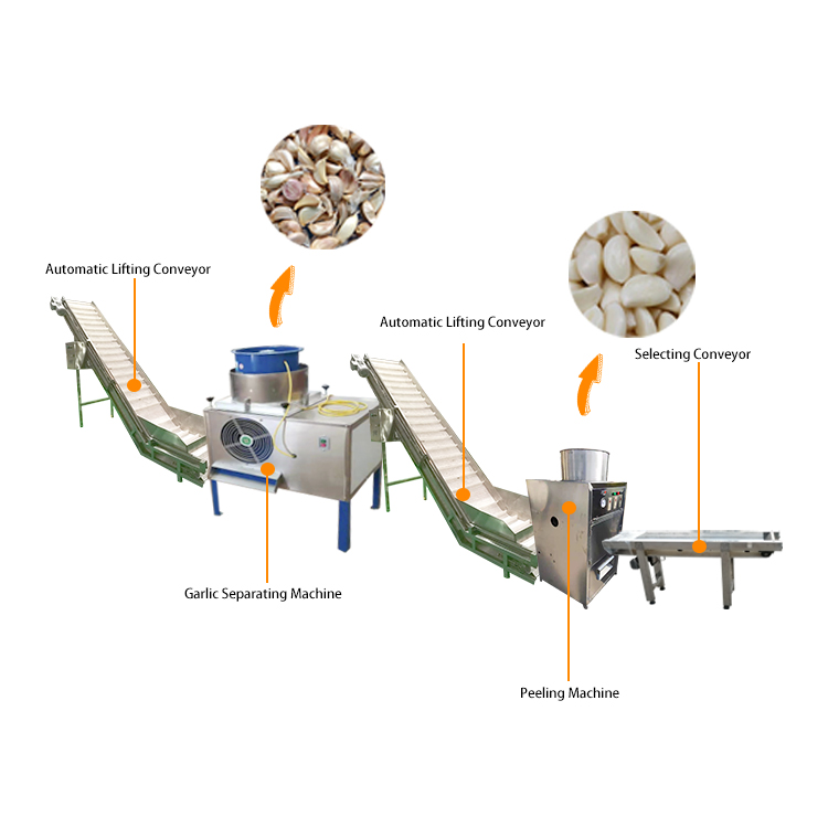 Industrial Garlic Peeling Machine Production Line Fully Automatic